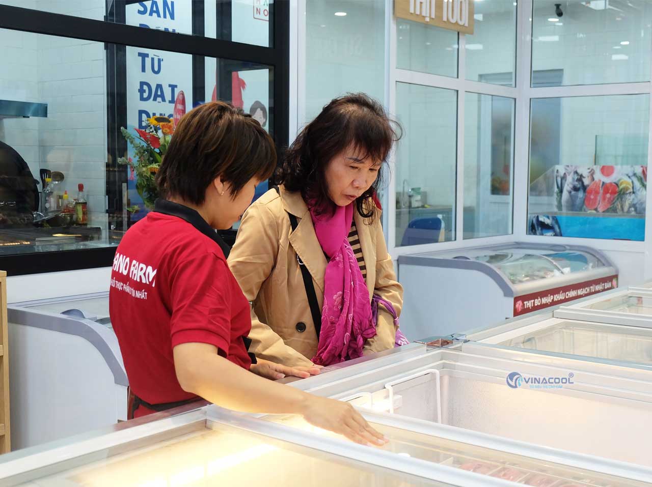 tủ đông lạnh cửa trượt trên