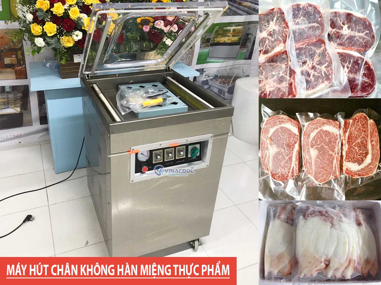 máy hút chân không Trường Phát