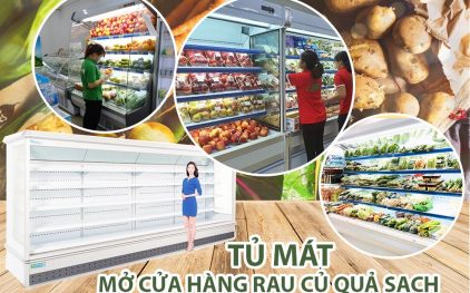 Mở cửa hàng rau củ quả sạch nên mua tủ mát nào?