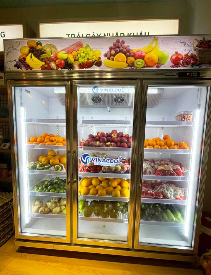 tủ mát để trái cây nhập khẩu 3 cánh kính