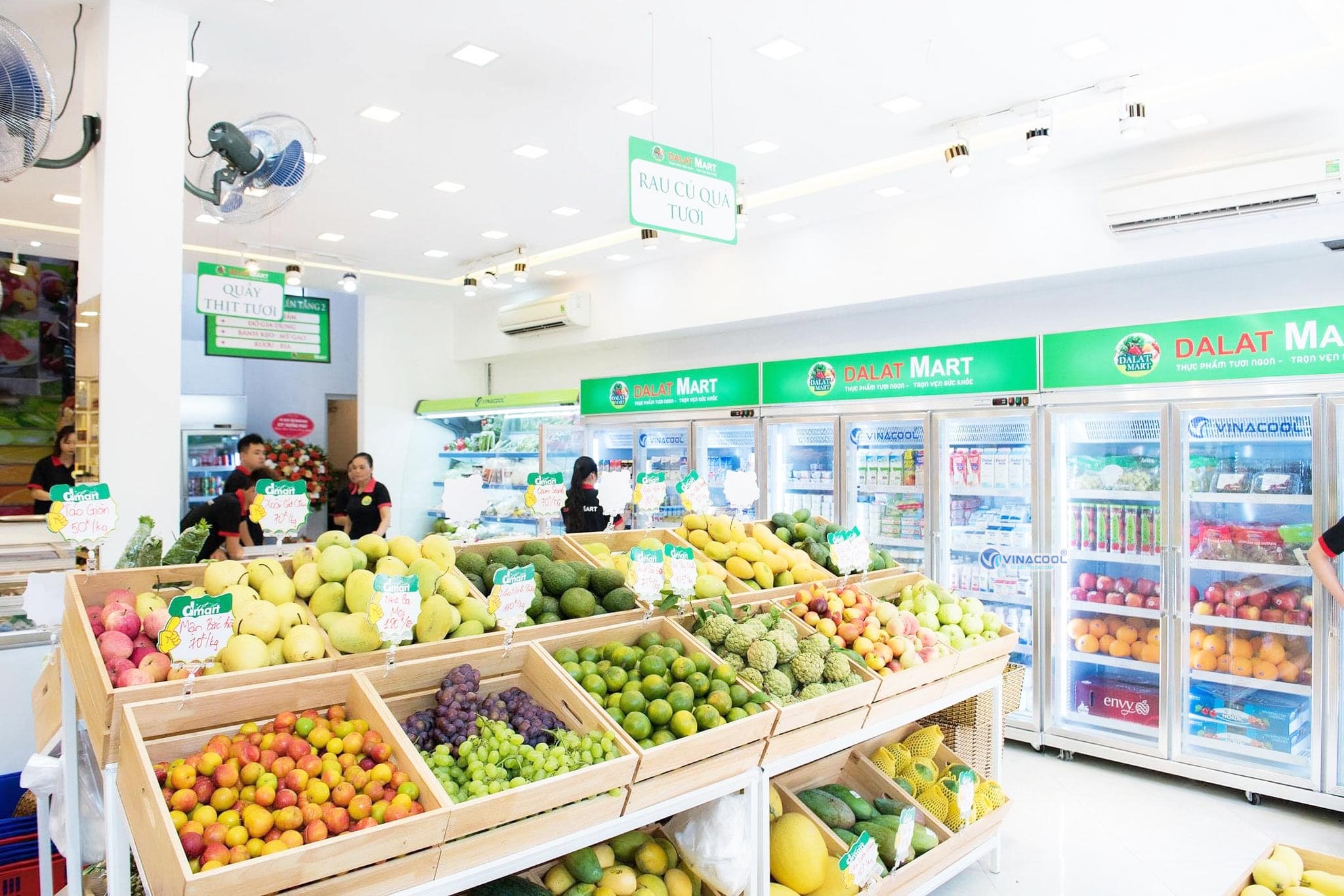 tủ mát tại siêu thị dalatmart