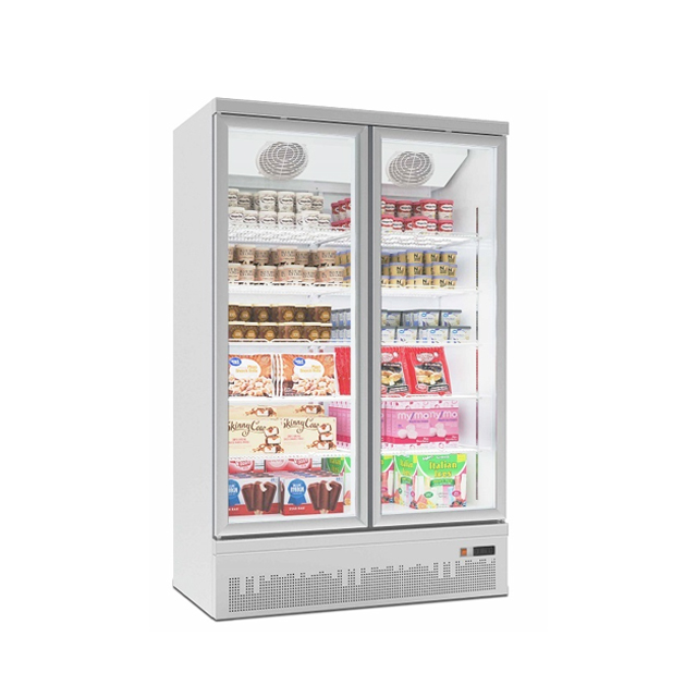 Tủ Đông Lạnh Đứng 2 Cánh Kính Máy Nén Dưới