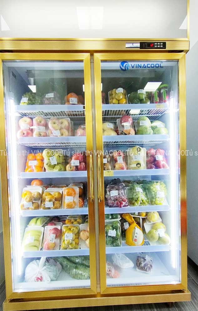 tủ mát 2 cánh vàng