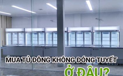 Mua tủ đông không đóng tuyết ở đâu?