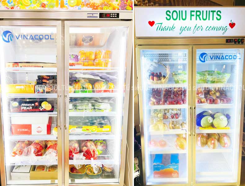tủ mát trưng bày trái cây 2 cánh