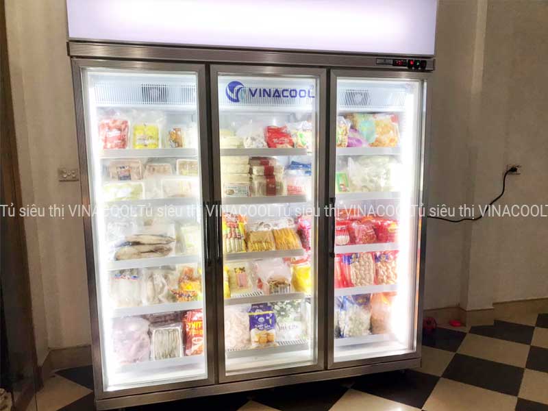 tủ bảo quản thực phẩm đông lạnh đứng