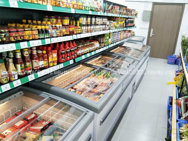 tủ đông nằm vinacool tự động xả đá