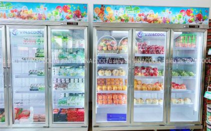 TOP 4 dòng tủ mát trưng bày trái cây, rau củ tốt nhất 2022