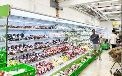 Bảo quản rau hoa quả tươi bằng phương pháp lạnh đơn giản với tủ mát để trái cây Vinacool